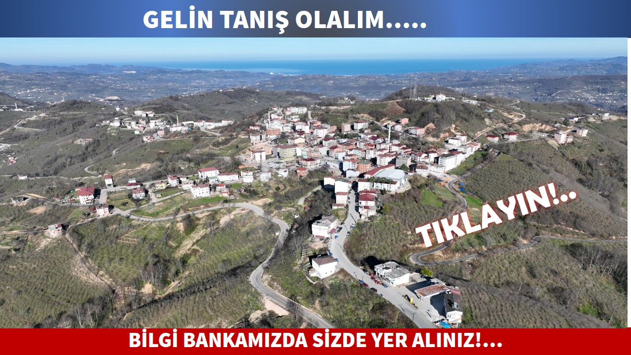   Bilgi Bankası Formu